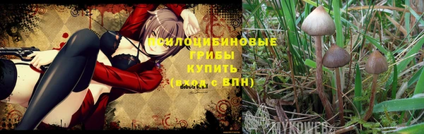 ECSTASY Гусиноозёрск