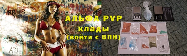 стаф Белоозёрский