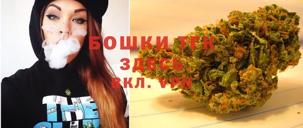 стафф Богданович